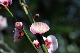 image0134