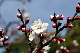 image0136