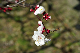 image0137