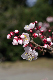 image0139