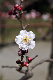 image0140