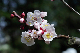 image0141