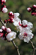 image0143