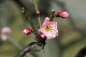image0145