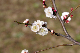 image0148