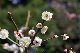 image0149