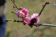 image0150
