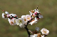 image0152