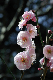 image0155