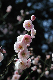 image0156