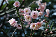 image0157
