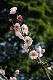 image0165