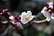 image0167