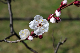 image0169