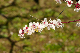 image0171