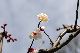 image0172