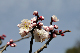 image0173