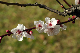 image0174