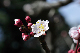 image0175