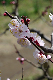 image0177