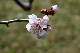image0178