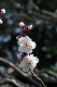 image0180