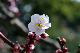 image0181