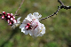 image0182