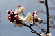 image0184