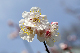 image0186