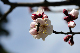 image0187