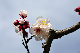image0188