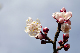 image0191