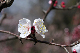image0192