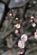 image0193