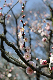 image0196