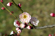 image0197