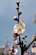 image0198