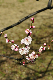 image0200