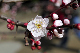 image0211