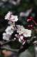image0212