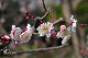 image0213