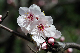image0215