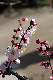 image0216