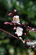 image0218