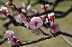 image0219