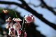 image0220