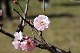 image0223