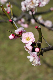 image0224