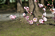 image0226
